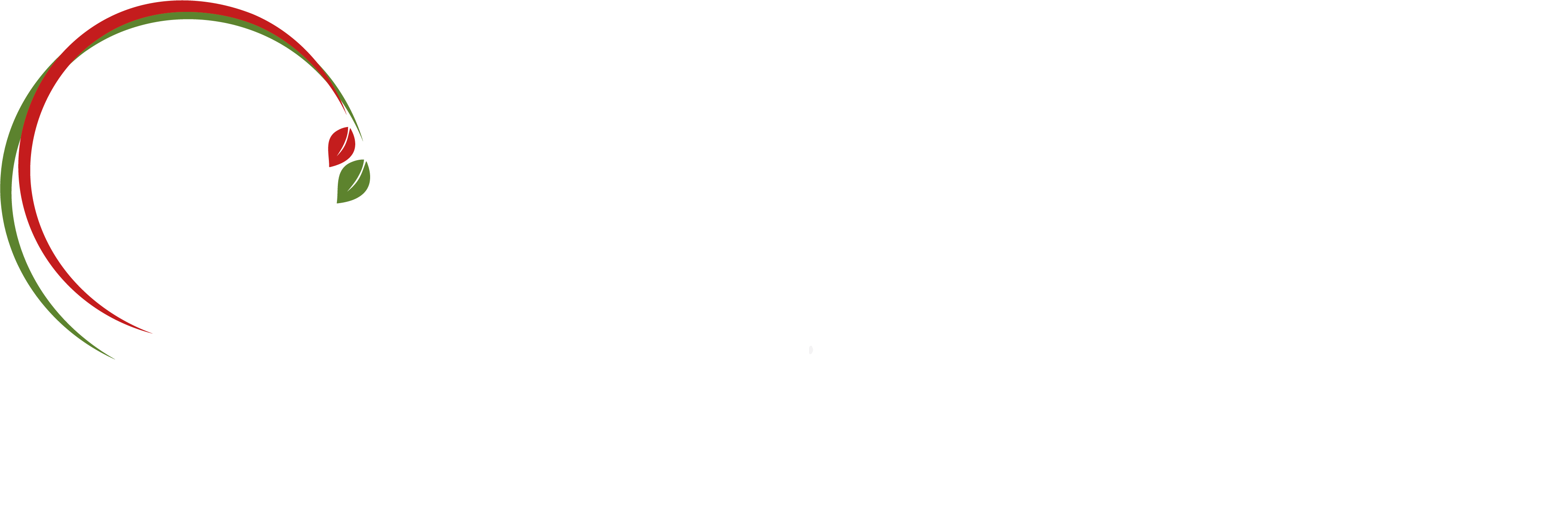 Samar Safar logo skråskrift rød grøn og hvid farve